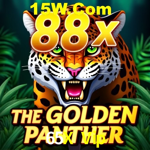 65X Vip Rio de Janeiro - Bonus Terms