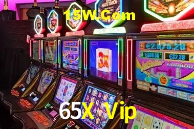 65X Vip - User Statistics