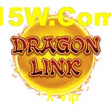 Premium Interface 65X Vip