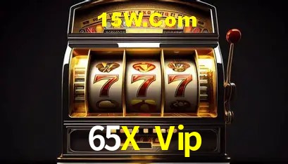 65X Vip Salvador - Support