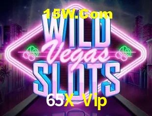 Sistemas de Segurança 65X Vip