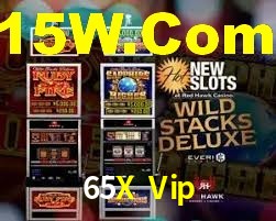 Programa VIP 65X Vip
