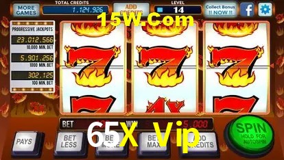 65X Vip - Support