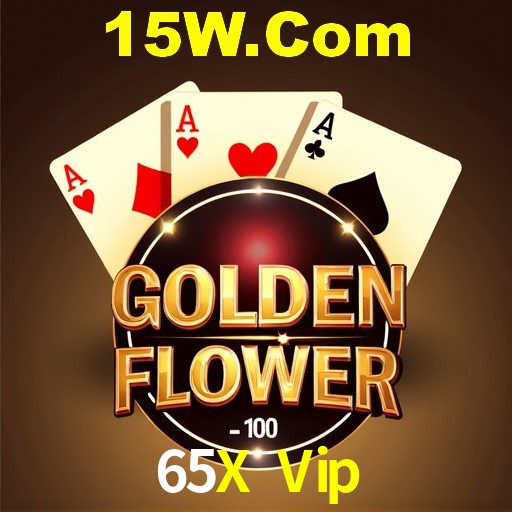 Casino VIP 65X Vip