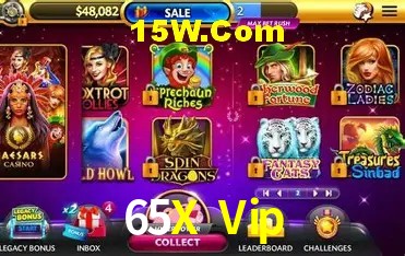 65X Vip - Security