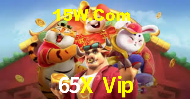 65X Vip - Installation Guide