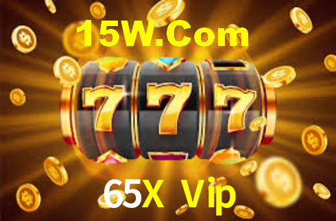 65X Vip - App Security
